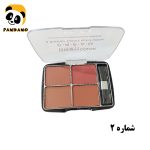 پالت رژ گونه و سایه چشم 4 رنگ گاش کالر (Gosh Color) شماره 2